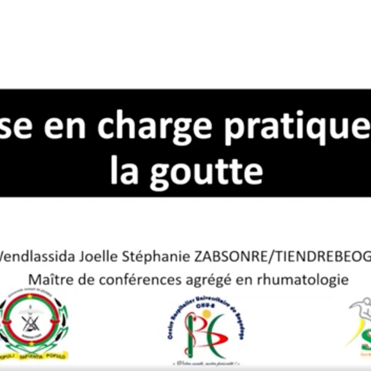 Prise en charge pratique de la Goutte